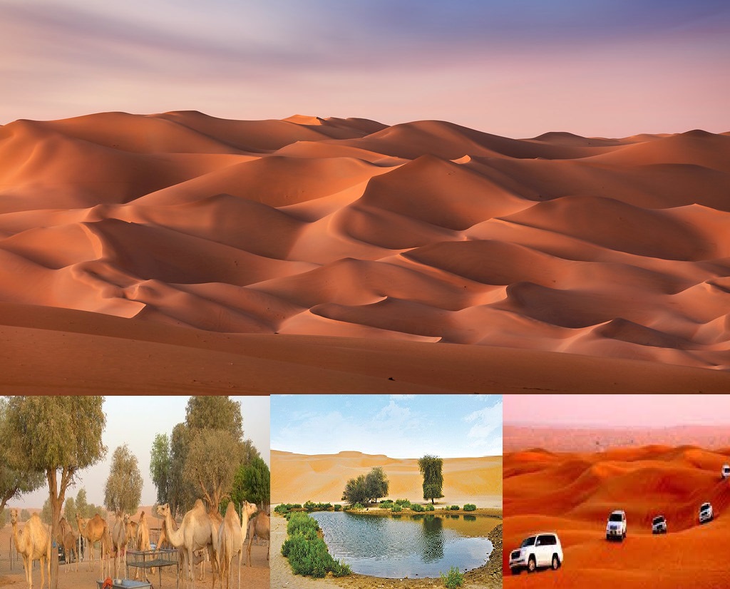 Private Abu Dhabi Liwa Desert Safari